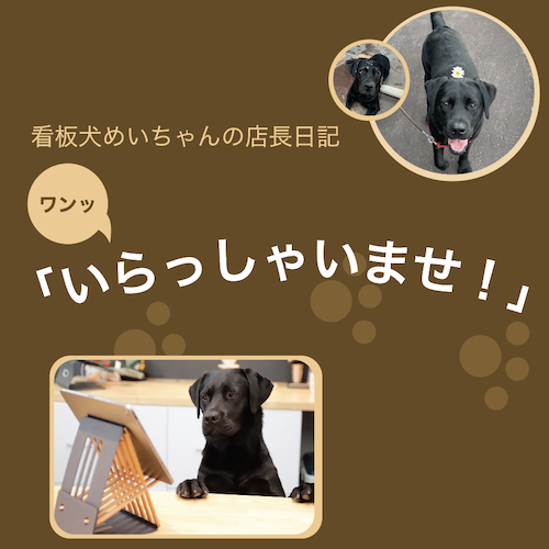 看板犬「めいちゃん」による演造ブログ